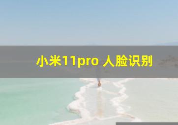 小米11pro 人脸识别